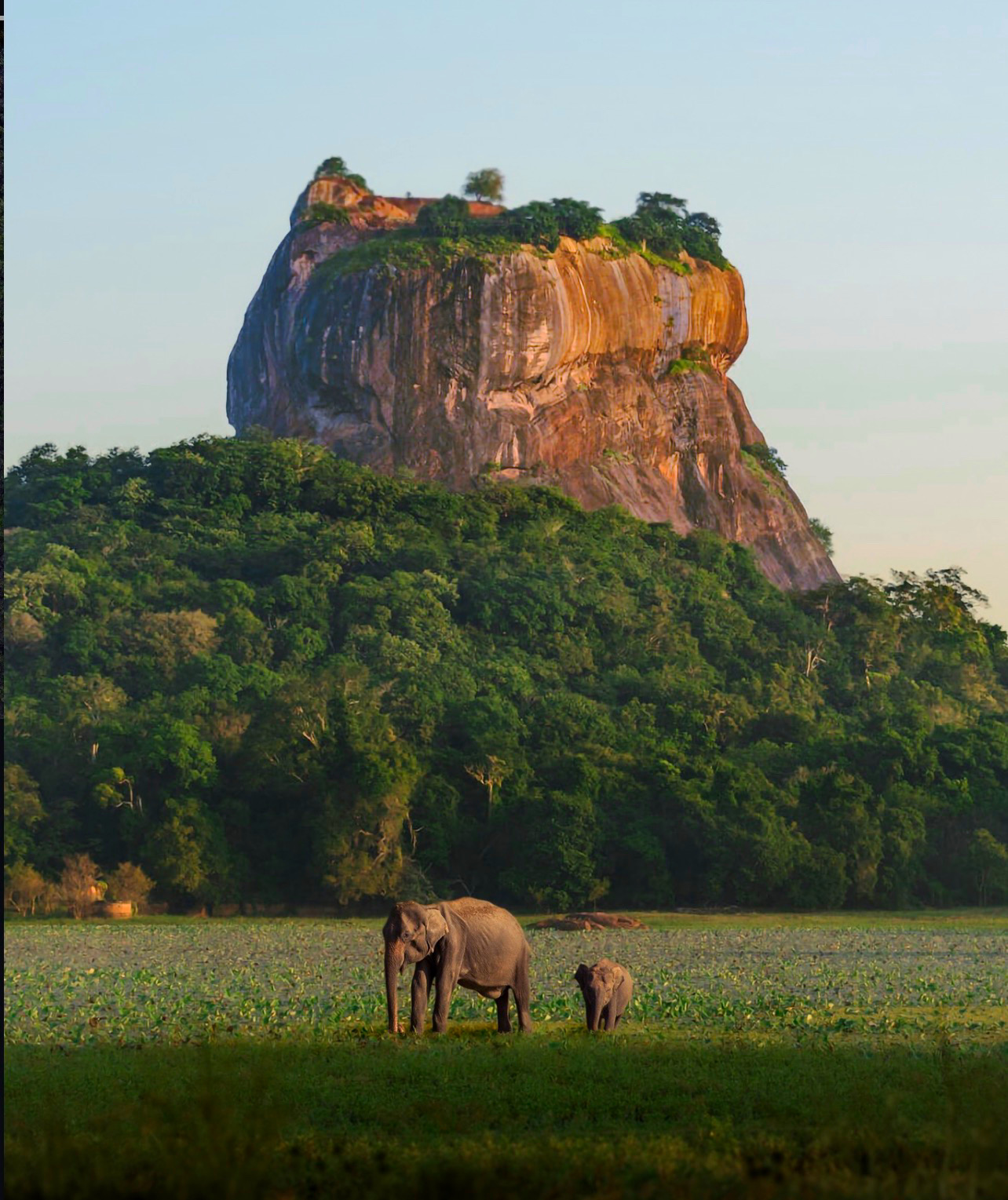 Sigiriya Rock Fortress