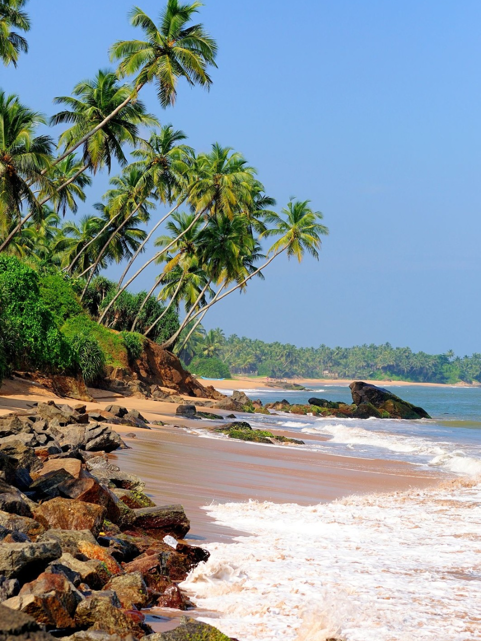 Youth Explorer — Sri Lanka Backpacker Tour (6 Days) - photo 7