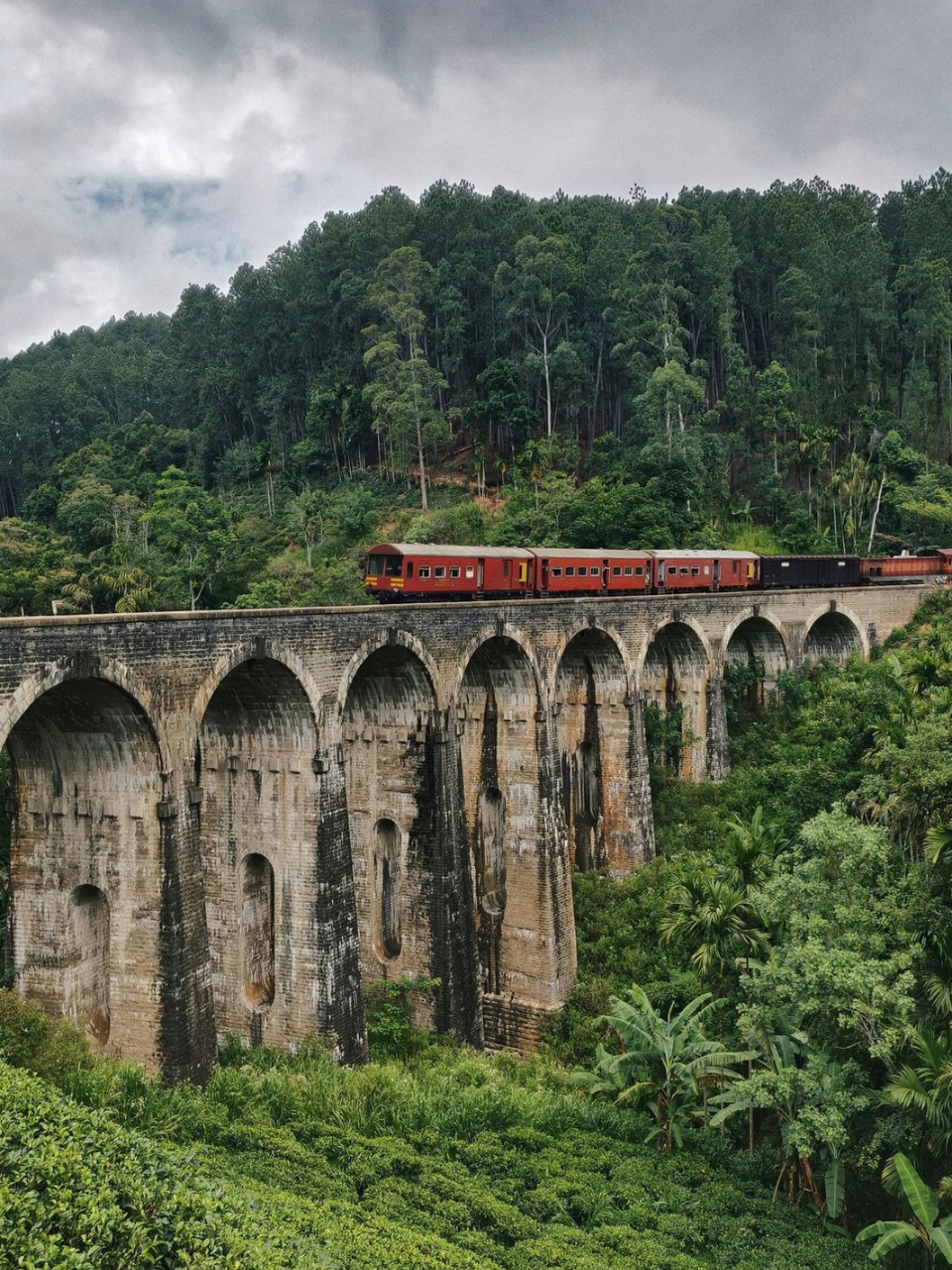 Classic Sri Lanka Tour (7 Days) - photo 9