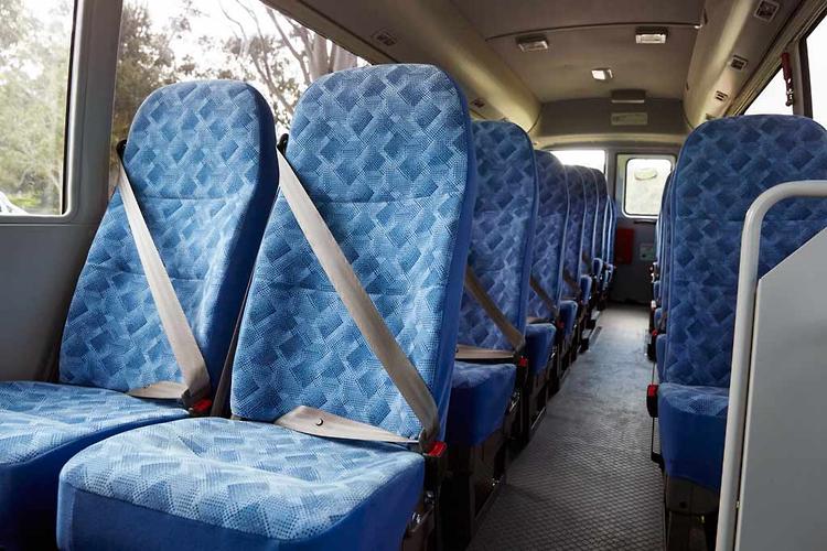 Fuso Rosa (Small Bus) - photo 2