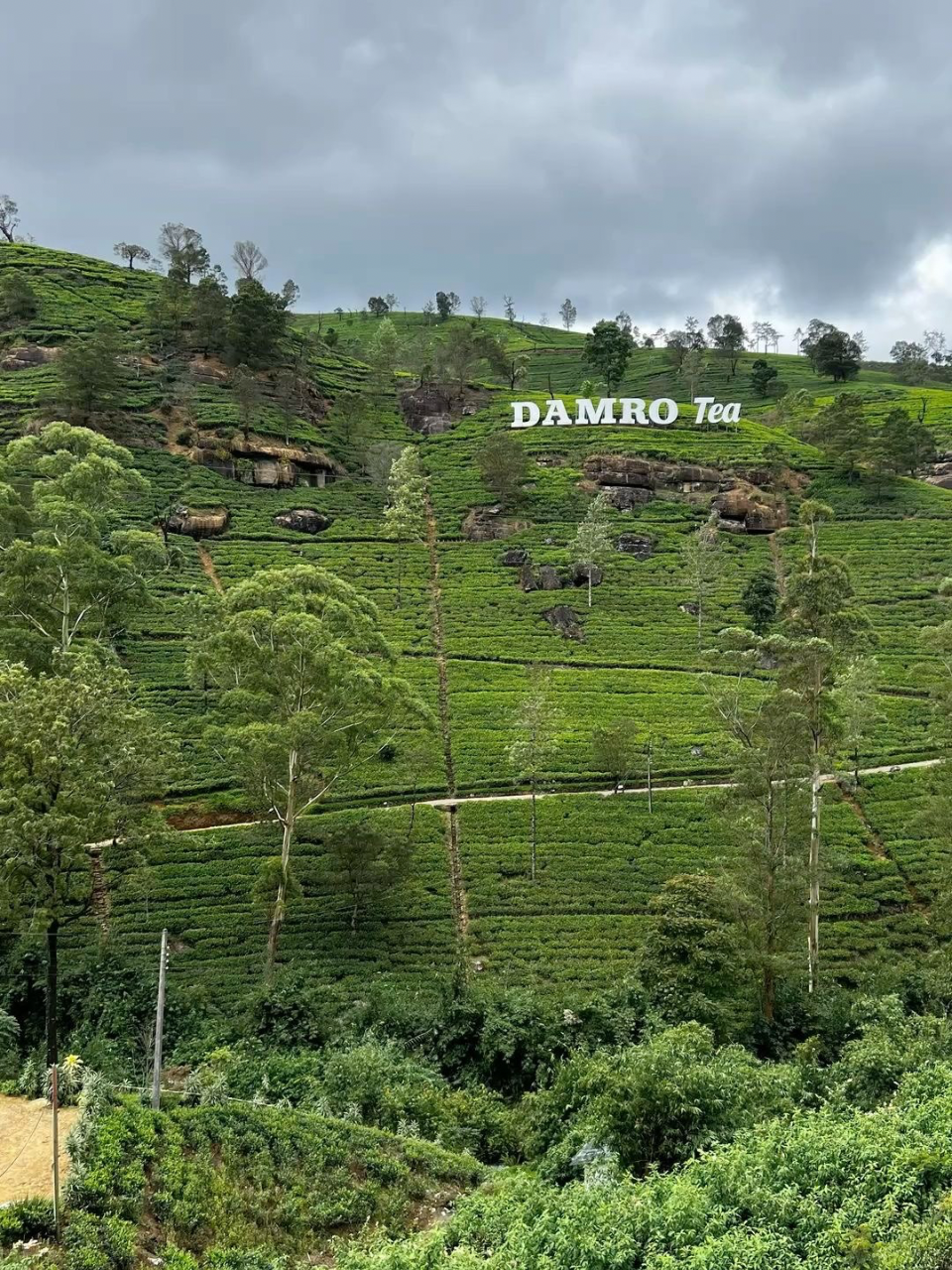 Nuwara Eliya – Little England of Sri Lanka - photo 8