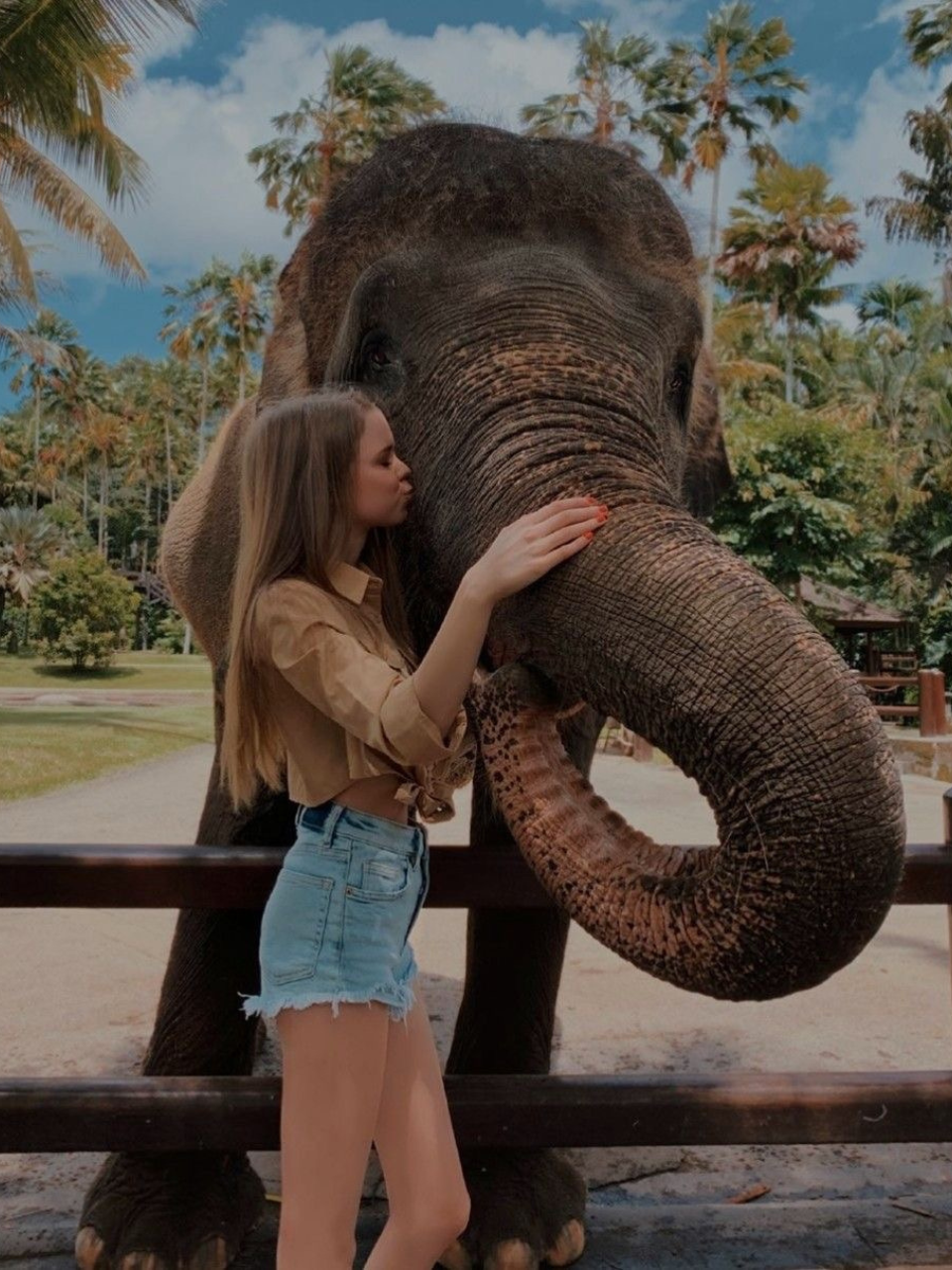 Pinnawala Elephant Orphanage – Meet Sri Lanka's Giants - photo 9